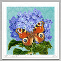A square botanical art print featuring a peacock butterfly resting on a large cluster of purple hydrangeas, with green leaves and a light aqua patterned background. The print is presented with a wide white border and a light gray textured frame or mat visible around the edges.