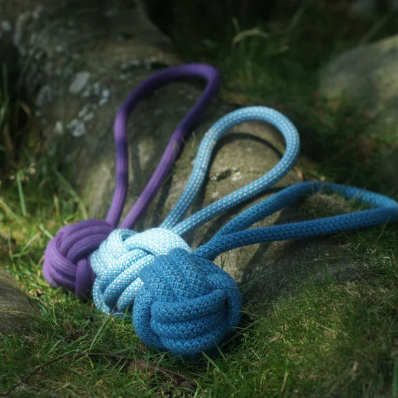 Dog throw - SCAVENGER