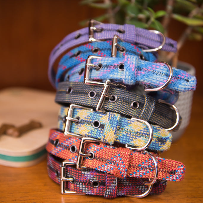 Dog Collar - SCAVENGER