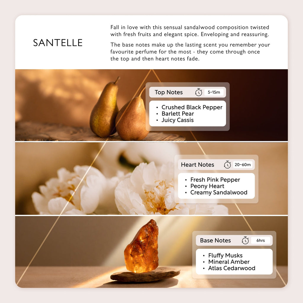 Santelle Eau De Parfum fragrance pyramid