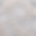 A close-up of a frosted or translucent surface covered with scattered small bubbles or droplets against a soft light gray background.