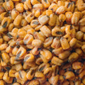 Close-up image of BBQ Roasted Corn Snacks, filling the entire frame. 
