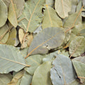 A close-up pile of dried bay leaves with olive-green to grayish-green tones and tan veins.