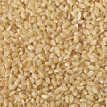 This extreme close-up photo showcases a dense collection of grains of brown rice. 