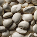 A close-up pile of smooth, oval-shaped white beans filling the frame.
