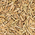 This close-up captures a pile of golden brown caraway seeds. 