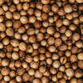 A dense pile of whole brown coriander seeds filling the frame, with visible textured shells and warm tan-brown tones.