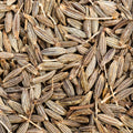 A macro shot highlights a dense collection of brown cumin seeds filling the entire frame. 
