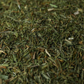 A close-up shot of dill filling the entire frame.