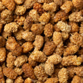 A macro shot shows a dense pile of ripe mulberries.