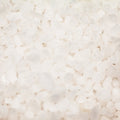 A close-up shot reveals a collection of white crystals