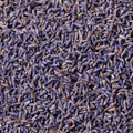 A close-up, top-down view of a dense pile of dried lavender buds, showing their characteristic purple-blue color and textured, elongated shapes filling the entire frame.