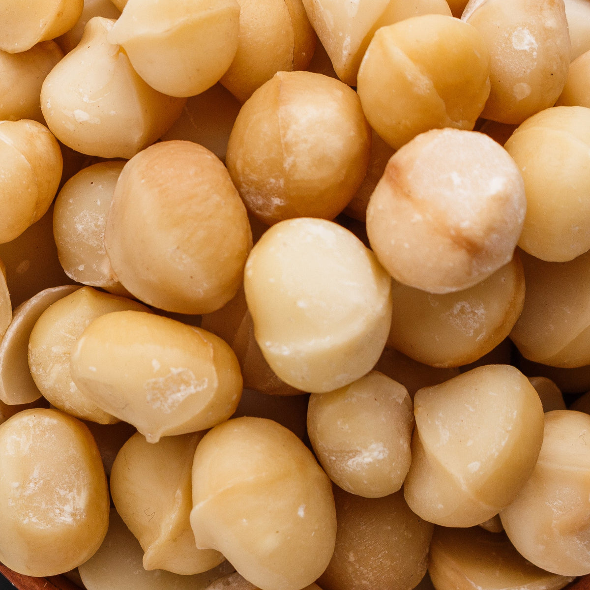 A close up overhead shot features white and light-yellow macadamia nuts, filling the entire frame. 