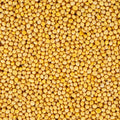 A close-up, top-down view of densely packed mustard seeds filling the entire frame.