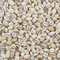 This extreme close-up shot features a mound of pearled barley. 