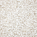 This close-up shot showcases a pile of rice grains, their individual shapes and textures visible in detail. The rice, predominantly off-white with subtle variations in tone, is tightly packed, creating a dense field of small, oval shapes. 