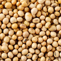 This extreme close-up captures a pile of soy beans. The tight framing shows the soybeans in great detail.