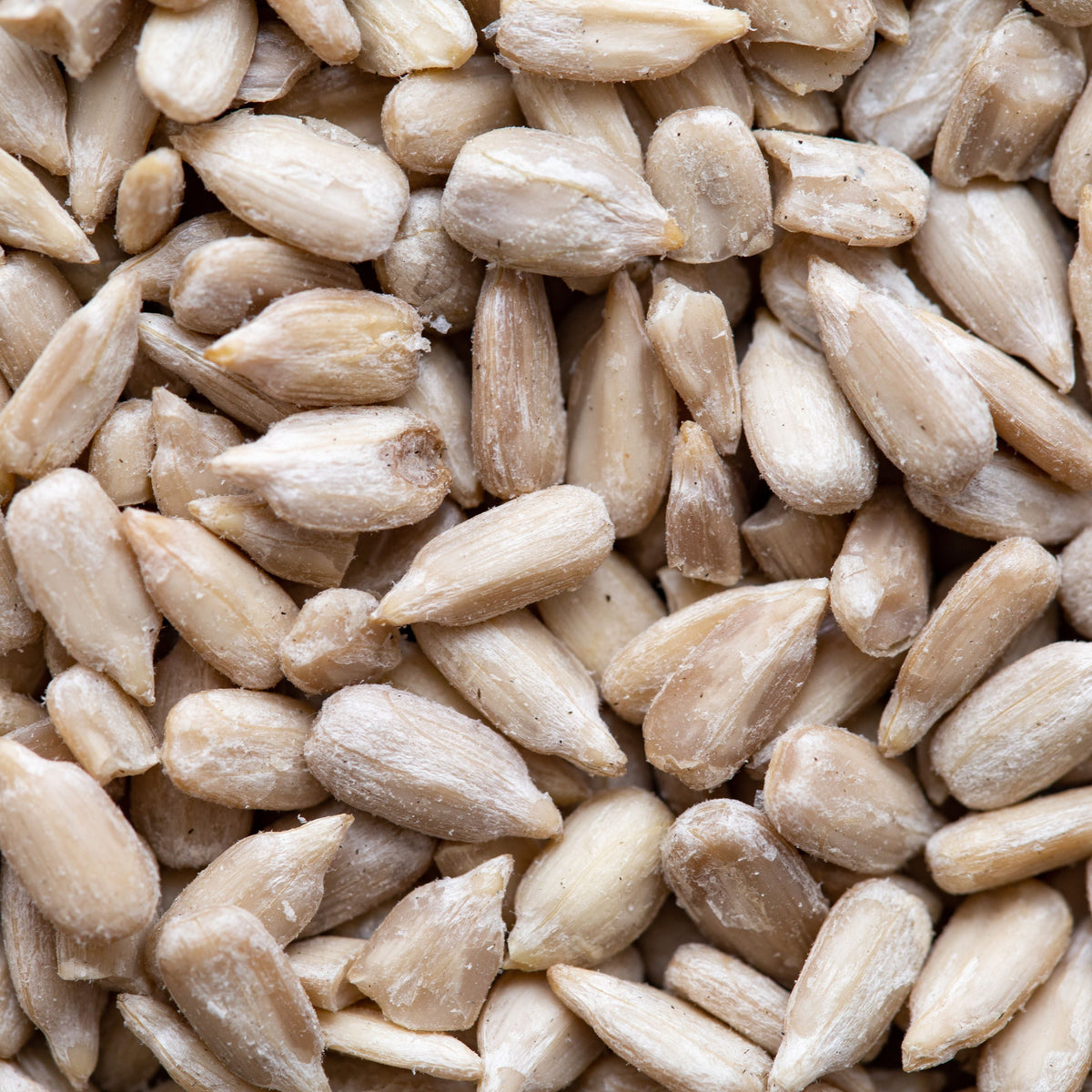 An eye-level close-up shot showcases a multitude of peeled sunflower seeds.