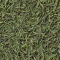 A close-up, top-down view of dried green tarragon filling the entire frame.