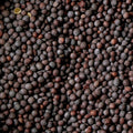 A top-down view of dark brown mustard seeds filling the entire frame. 