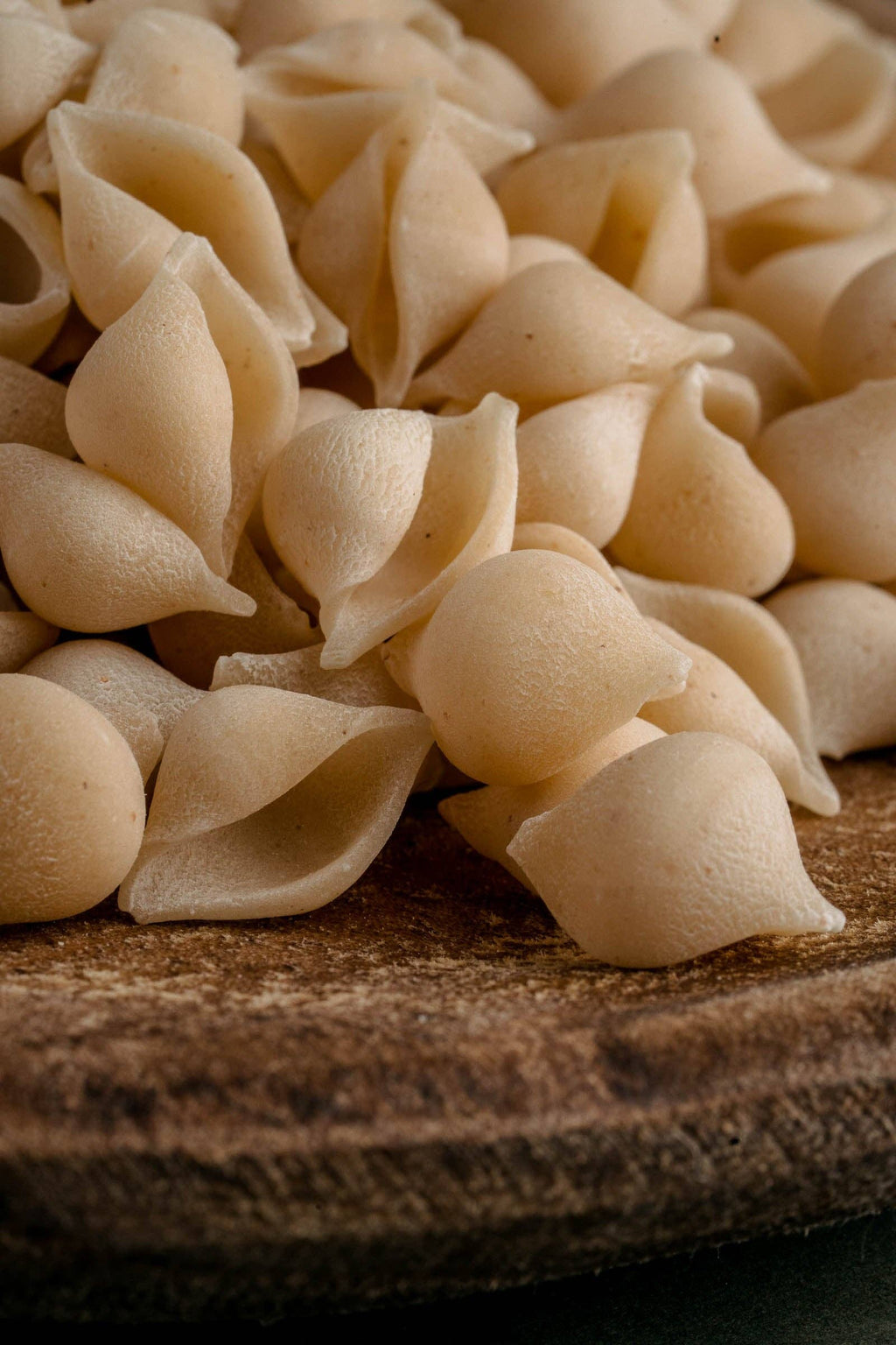 Northern Pasta Co. - Conchigliette