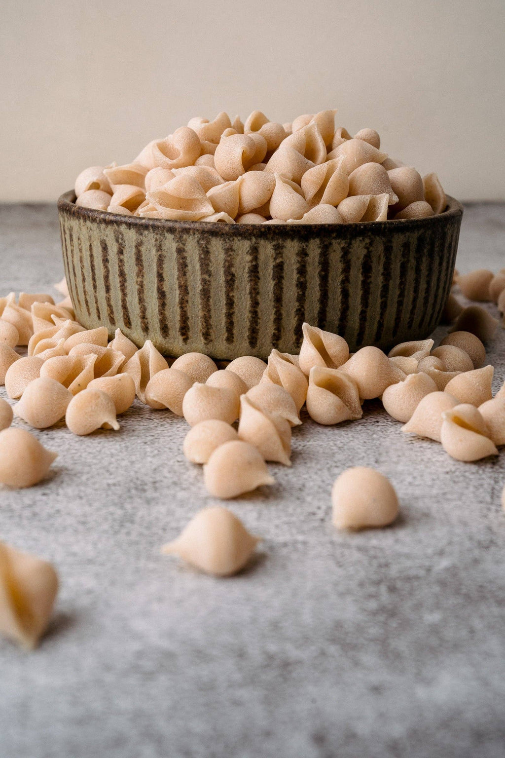 Northern Pasta Co. - Conchigliette